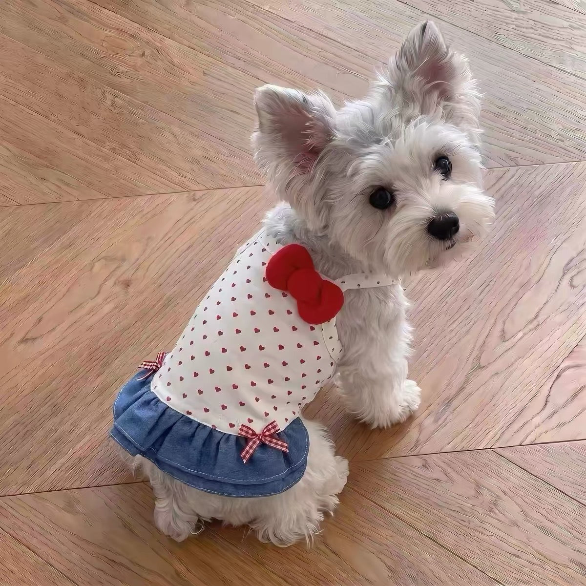 Pet Halter Dress Sewing Pattern with Step-by-Step Tutorial | A3 Printable PDF | Sizes S-4XL | Dog Cat Summer Ruffle Dress | Instant Download