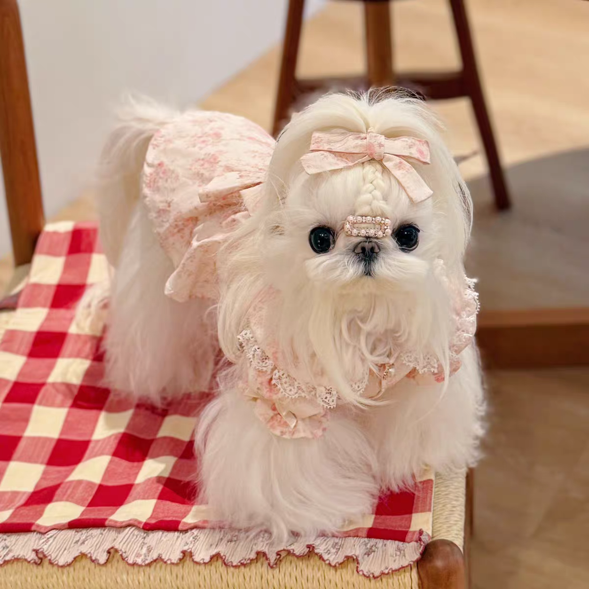 Pet Doll Collar Dress Sewing Pattern with Step-by-Step Tutorial | A3 Printable PDF | Sizes S-4XL | Dog Cat Floral Lace Outfit