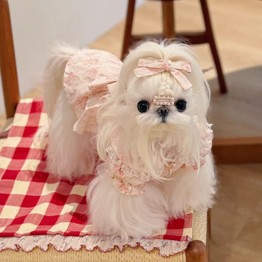 Pet Doll Collar Dress Sewing Pattern with Step-by-Step Tutorial | A3 Printable PDF | Sizes S-4XL | Dog Cat Floral Lace Outfit