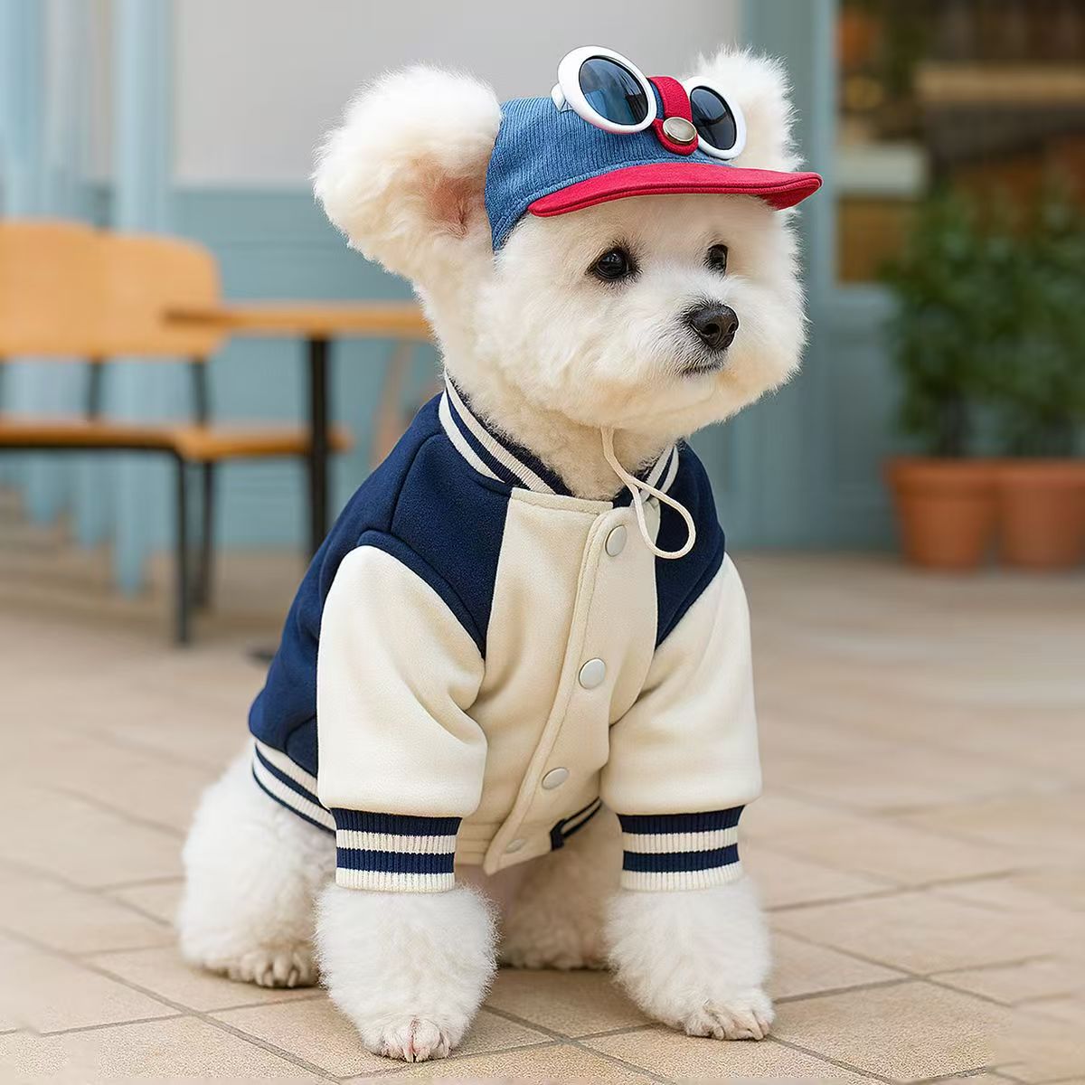 Pet Denim Baseball Cap with Attached Sunglasses — 2 Styles (Leopard & White Frame), Sizes S–M (Head 8–14 in), Adjustable Strap, Cute Photo Prop for Dogs & Cats
