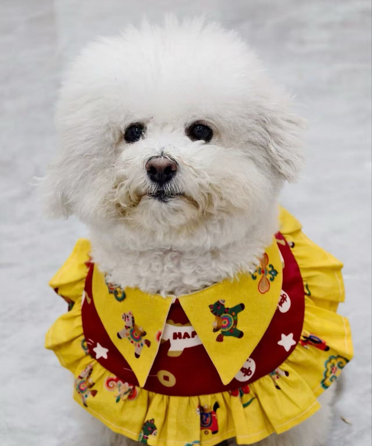 Preppy Ruffle Collar Dog Bandana Sewing Pattern PDF | Tie-Strap Peter Pan Pet Bib | Sizes M–L