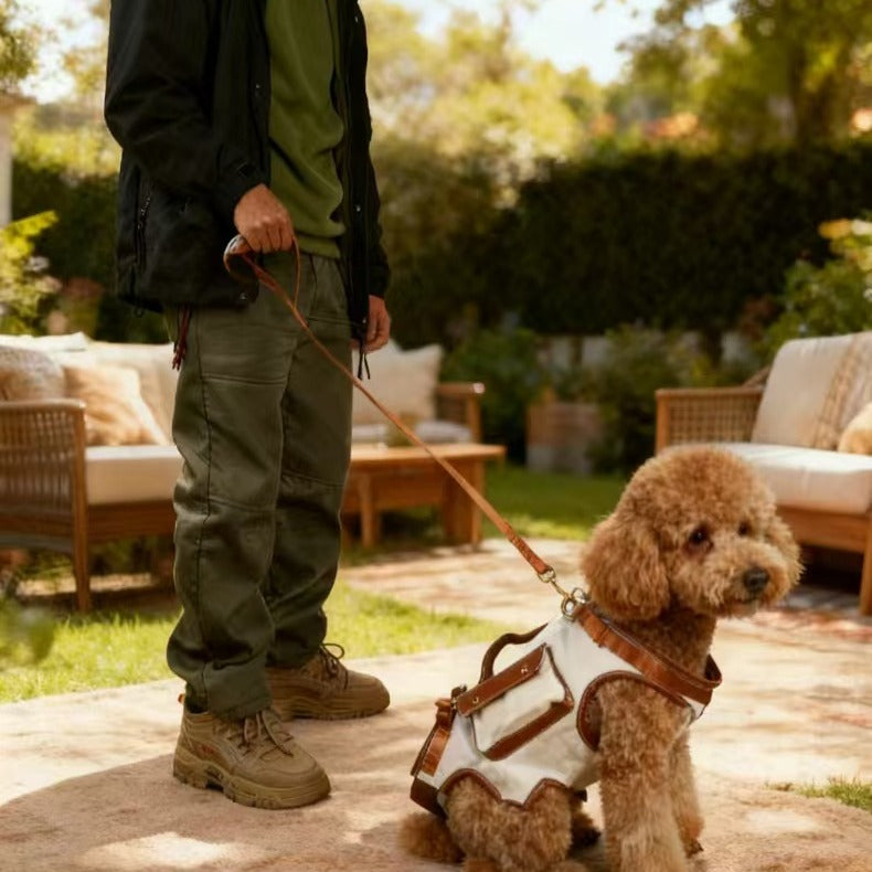 2-in-1 Dog Carrier & Walking Harness, Hands-Free Pet Sling Bag with Side Pocket, Vintage Canvas Puppy Travel Bag for Small Dogs & Cats