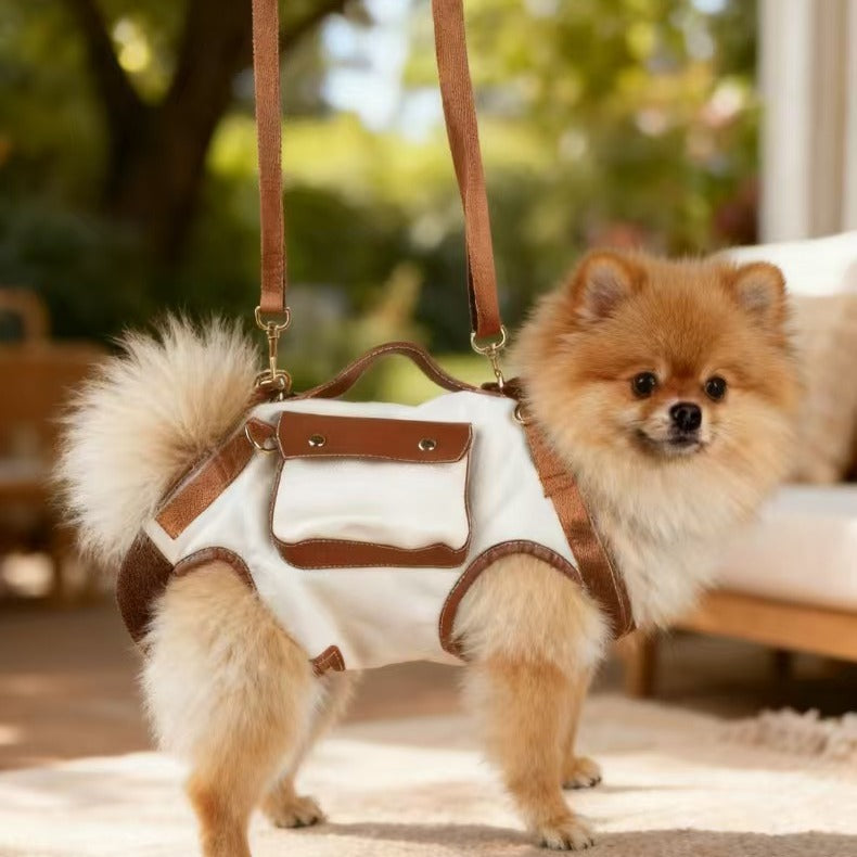 2-in-1 Dog Carrier & Walking Harness, Hands-Free Pet Sling Bag with Side Pocket, Vintage Canvas Puppy Travel Bag for Small Dogs & Cats