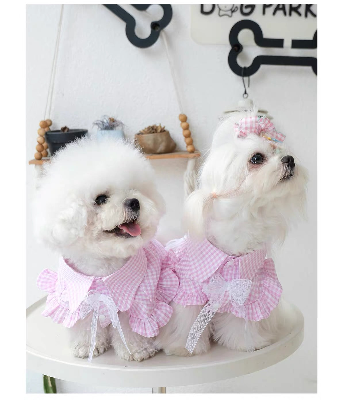 Pet Ruffle Collar Shirt PDF Sewing Pattern, 7 Sizes S–4XL, Inch & Pound Size Chart, A3 Printable, Step-by-Step Sewing Tutorial, Dog Cat Clothes Sewing Pattern
