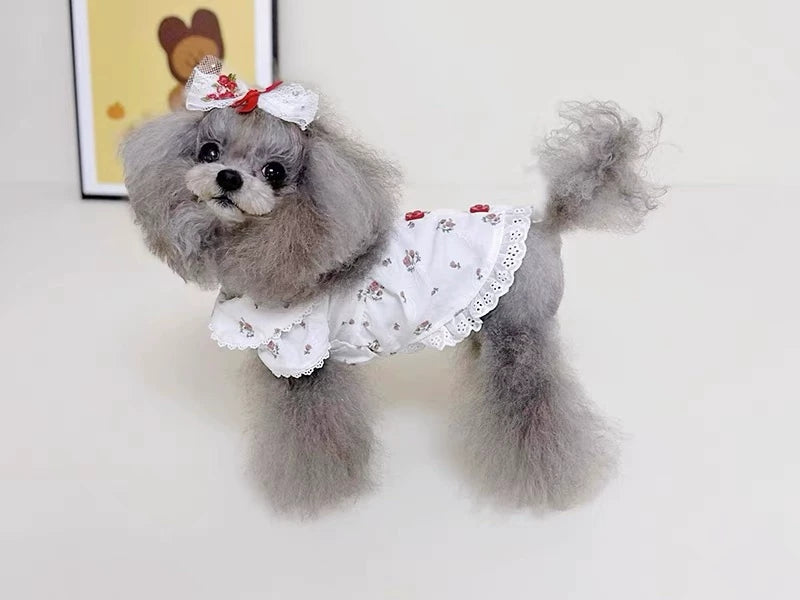 Pet Doll Collar Dress Sewing Pattern with Step-by-Step Tutorial | A3 Printable PDF | Sizes S-4XL | Dog Cat Floral Lace Outfit