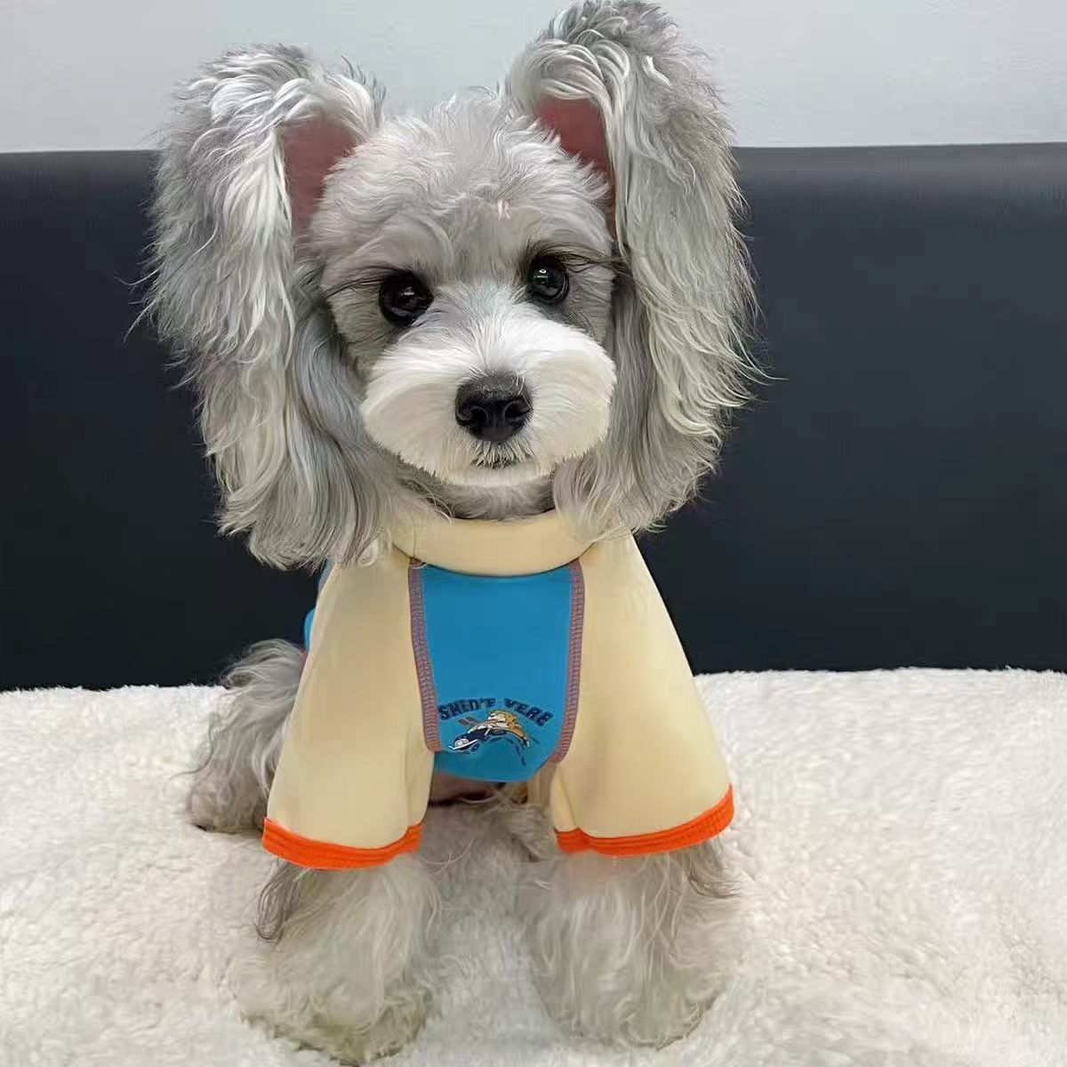 Pet Raglan Bodysuit Sewing Pattern with Video Tutorial | A3 Printable PDF | 7 Sizes S-4XL | Dog Cat Four-Leg Jumpsuit