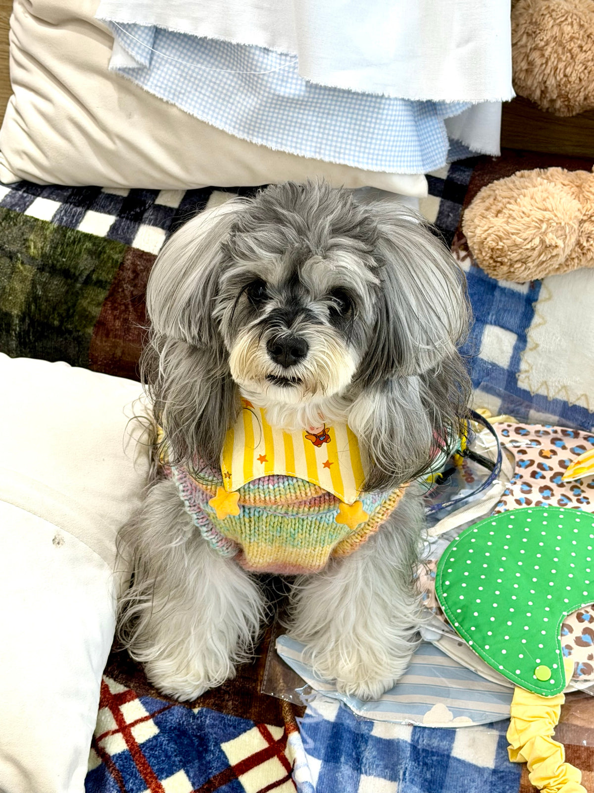 Crown Pet Bib Sewing Pattern PDF | Royal Crown-Shaped Bandana for Dogs & Cats | 12 Sizes S to 9XL | Adjustable Neck  | Printable Instant Download