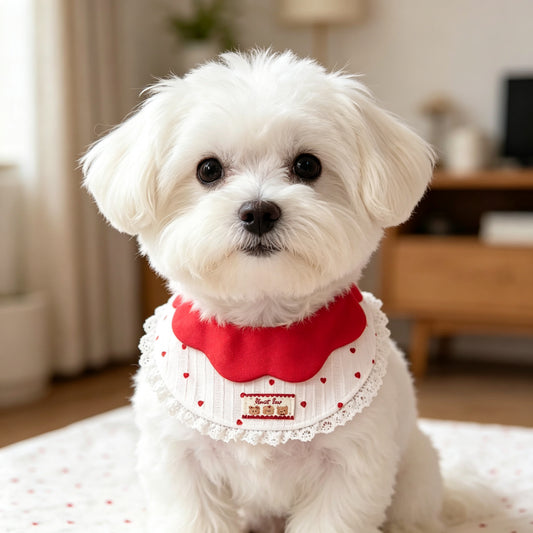 Scalloped Petal Collar Dog Bandana Sewing Pattern PDF | Lace Trim Pet Bib | Sizes S–L | Printable Cat Dog Template